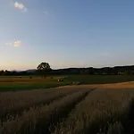 Apartmaji S Savnami - Wellness Gobi * Podcetrtek