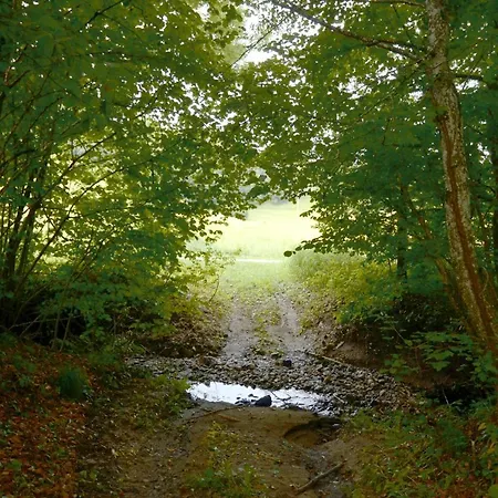 With Private Saunas - Wellness Gobi Appartement *