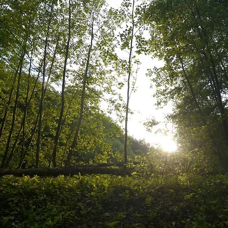 Lejlighed With Private Saunas - Wellness Gobi *