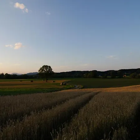 With Private Saunas - Wellness Gobi * Podčetrtek