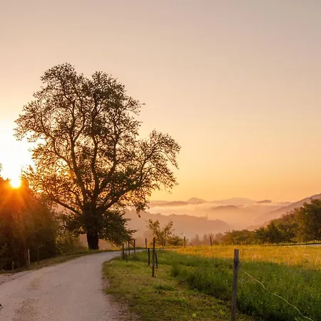With Private Saunas - Wellness Gobi