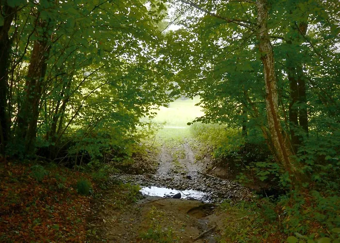 Apartmaji S Savnami - Wellness Gobi Apartament *