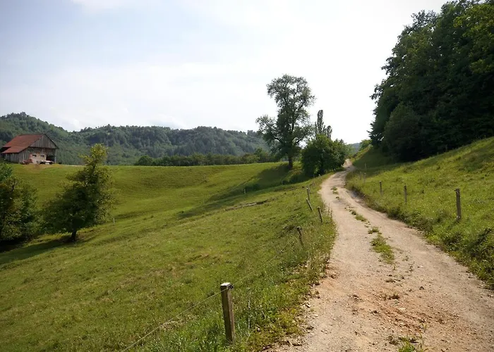 Apartmaji S Savnami - Wellness Gobi *