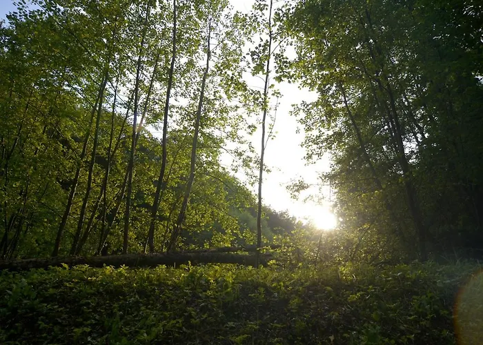 Διαμέρισμα With Private Saunas - Wellness Gobi *