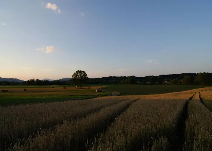 Apartmaji S Savnami - Wellness Gobi * Podčetrtek