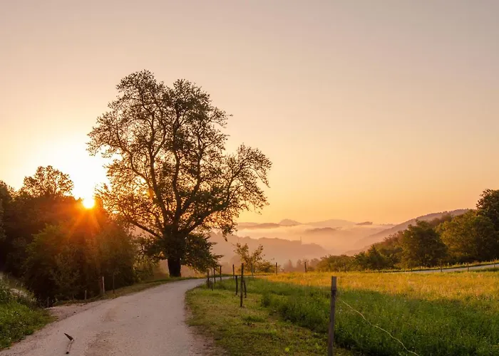 With Private Saunas - Wellness Gobi