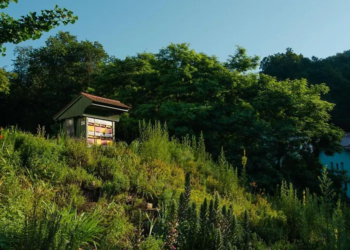 With Private Saunas - Wellness Gobi *